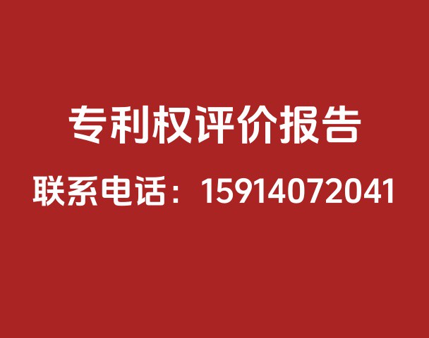 专利权评价报告